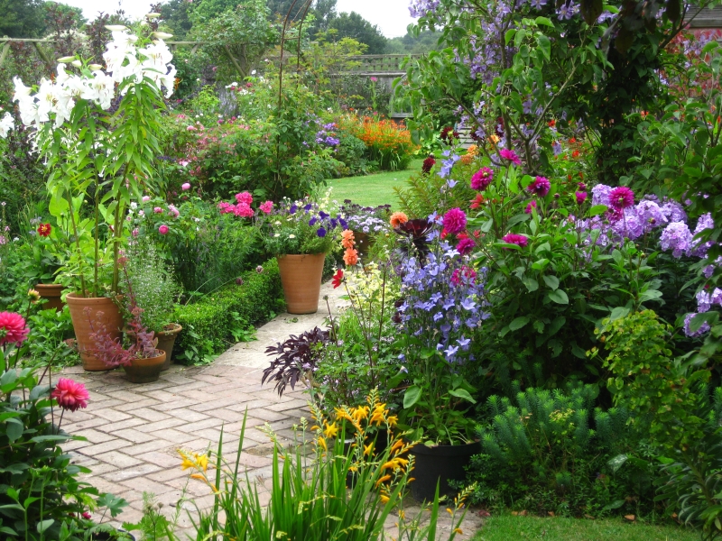 Sussex Cottage Garden OPEN DAYS 2 & 3 August - Garden House Brighton